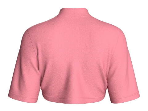 Girls Mandarin Collar Keyhole Cut-Out Cropped Top 3D Model