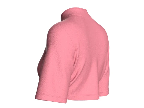 Girls Mandarin Collar Keyhole Cut-Out Cropped Top 3D Model