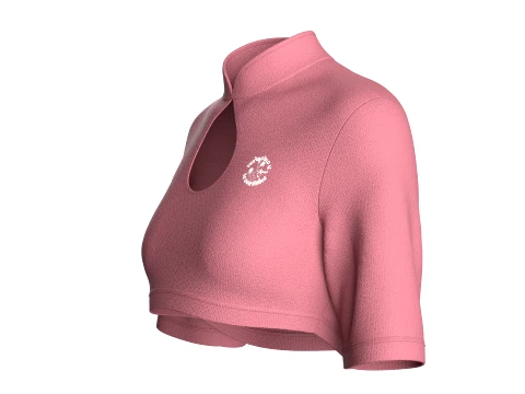 Girls Mandarin Collar Keyhole Cut-Out Cropped Top 3D Model