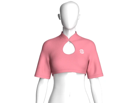 Girls Mandarin Collar Keyhole Cut-Out Cropped Top 3D Model