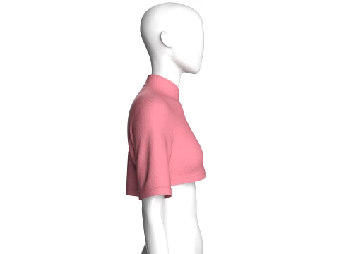 Girls Mandarin Collar Keyhole Cut-Out Cropped Top 3D Model