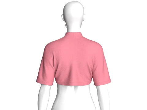 Girls Mandarin Collar Keyhole Cut-Out Cropped Top 3D Model