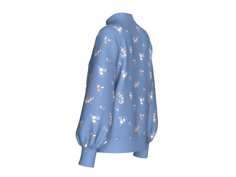 Girls Mandarin Collar Floral Printed Sweatshirt 3D Model