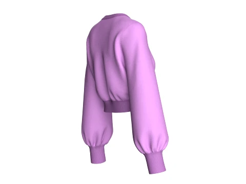 Girls Long Puffed Sleeves Cropped Sweatshirt 3D Model