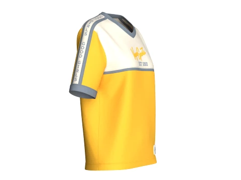 Girls V-Neck Color Blocked Tshirt With Striped 3D Model
