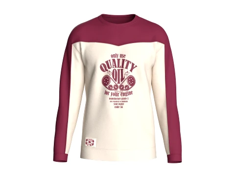 Men Graphic Color-Block Sweatshirt 3D Model