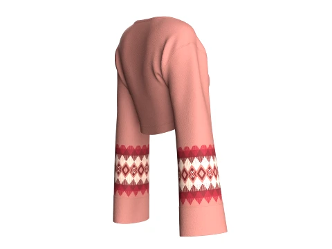 Girls Front-Zip Crop Sweatshirt 3D Model