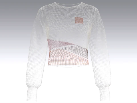 Girls Crew Neck Color-Block Crop Sweatshirt 3D Model