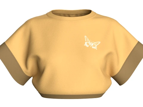 Girls Butterfly Graphic Cropped Top 3D Model
