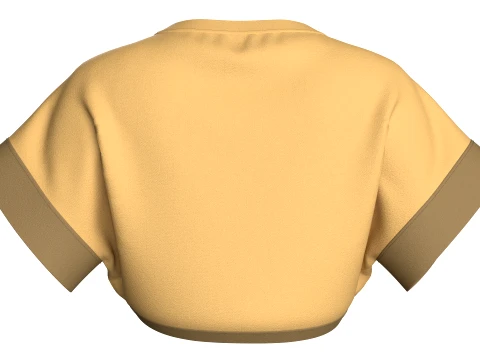 Girls Butterfly Graphic Cropped Top 3D Model