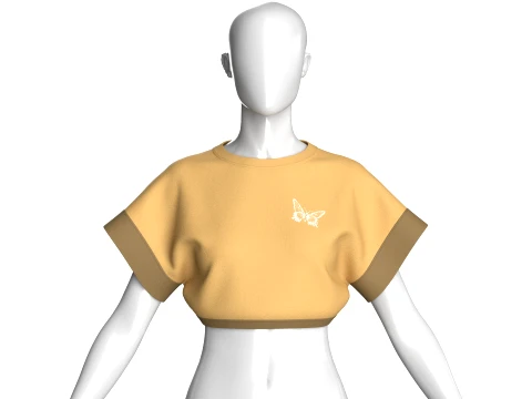 Girls Butterfly Graphic Cropped Top 3D Model