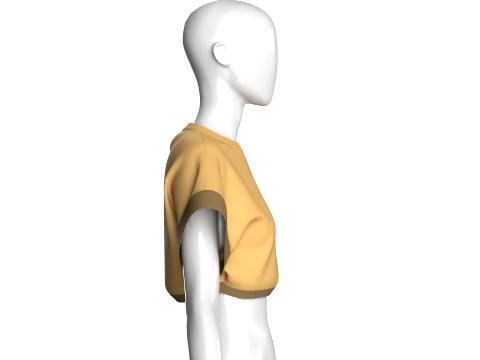Girls Butterfly Graphic Cropped Top 3D Model