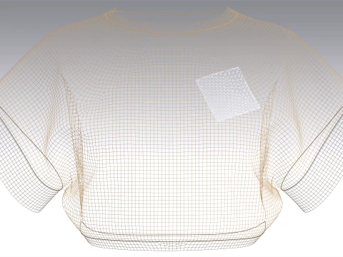 Girls Butterfly Graphic Cropped Top 3D Model