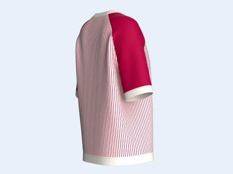 Girls Raglan Split Neck T-shirt With Striped 3D Model