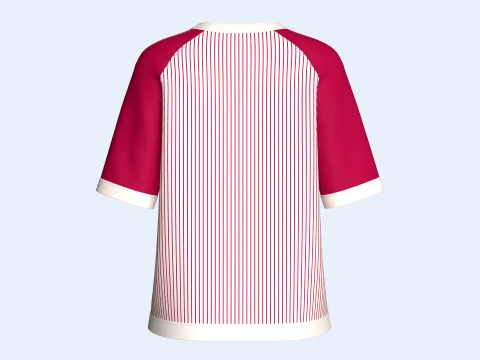 Girls Raglan Split Neck T-shirt With Striped 3D Model
