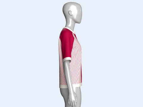 Girls Raglan Split Neck T-shirt With Striped 3D Model