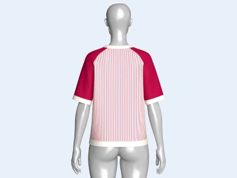 Girls Raglan Split Neck T-shirt With Striped 3D Model