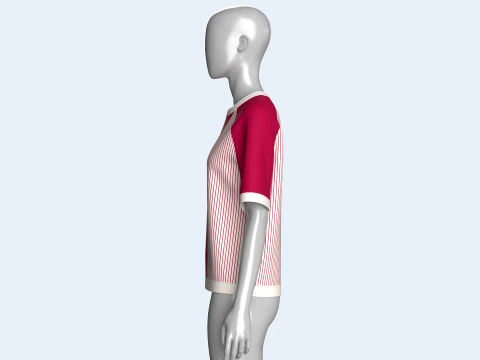 Girls Raglan Split Neck T-shirt With Striped 3D Model