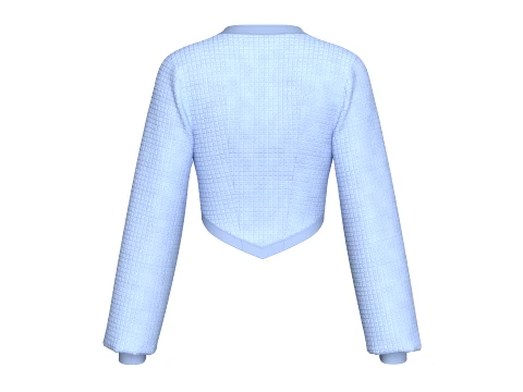 Girls Notch Neck Corset-Hem Crop Top 3D Model