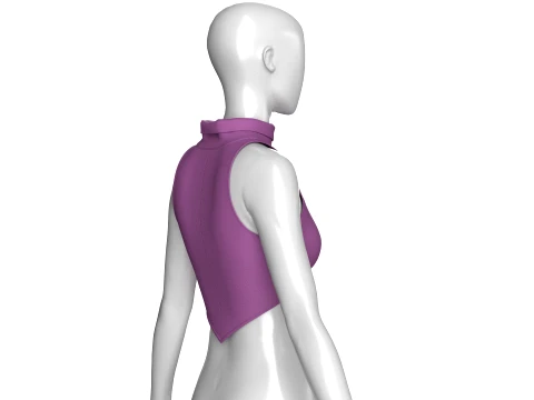 Girls Purple Henley Crop 3D Model