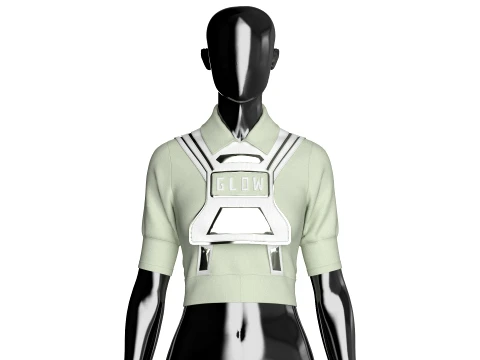 Girls Metallic Polo Crop Top 3D Model