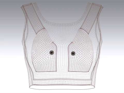 Girls Brown Mesh Crop Top 3D Model