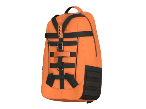 Outdoor Travel Bag V11 3D Model