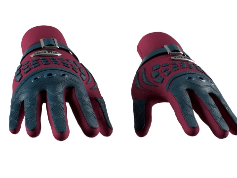 Racing Gloves 3D Model