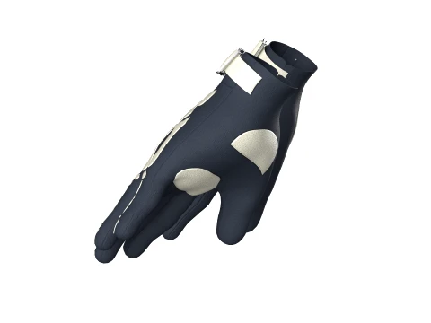 Skeleton Racing Gloves 3D Model