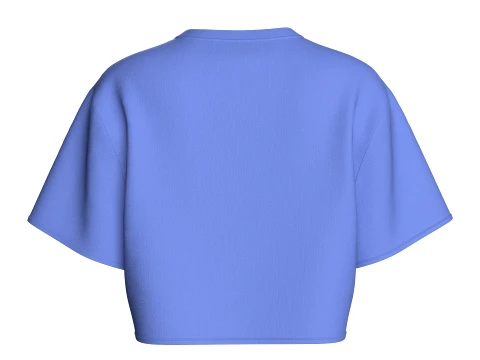 Ladies 10 Styles Top - Bundle Pack 3D Model