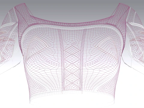 Girls Crop Top With White Panel 3D Model