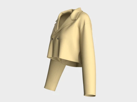 Girls Cropped Double-Breasted Blazer 3D Model
