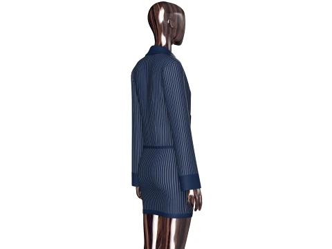 Girls Zip Up Striped Lapel Jacket With Skirt - Outfit 3D Model