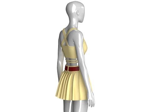 Girls Crop Top With Pleated Mini Skirt 3D Model