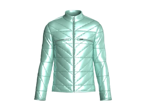 Men Full-Zip Shiny Padded Jacket 3D Model