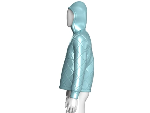 Men Half Zip Hooded Puffer Jacket 3D Model