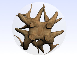 COFFEE TABLE TEAK ROOT Modello 3D