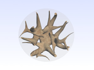COFFEE TABLE TEAK ROOT Modello 3D