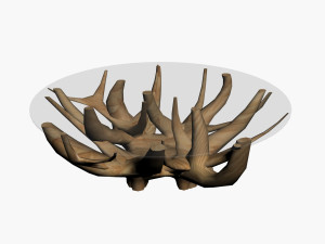 COFFEE TABLE TEAK ROOT 3D 모델