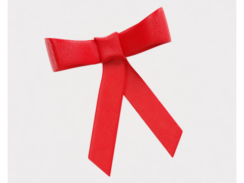 Ribbon 3D 모델