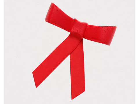 Ribbon 3D 모델