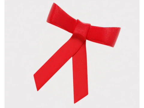 Ribbon 3D Model