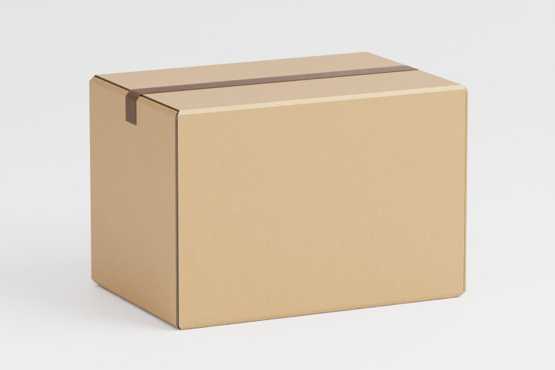 Cardboard box 3D Model .c4d .max .obj .3ds .fbx .stl .blend 