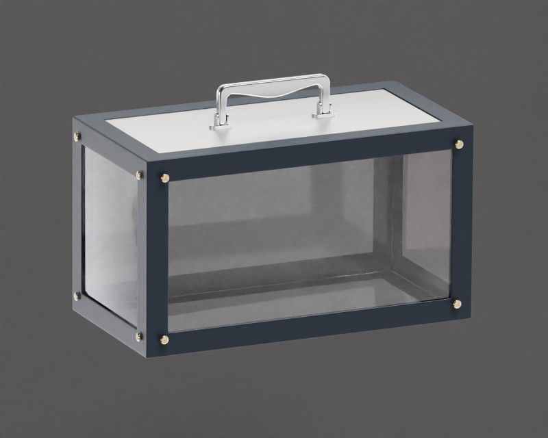 Glass box Modelo 3D .c4d .max .obj .3ds .fbx .stl .blend 