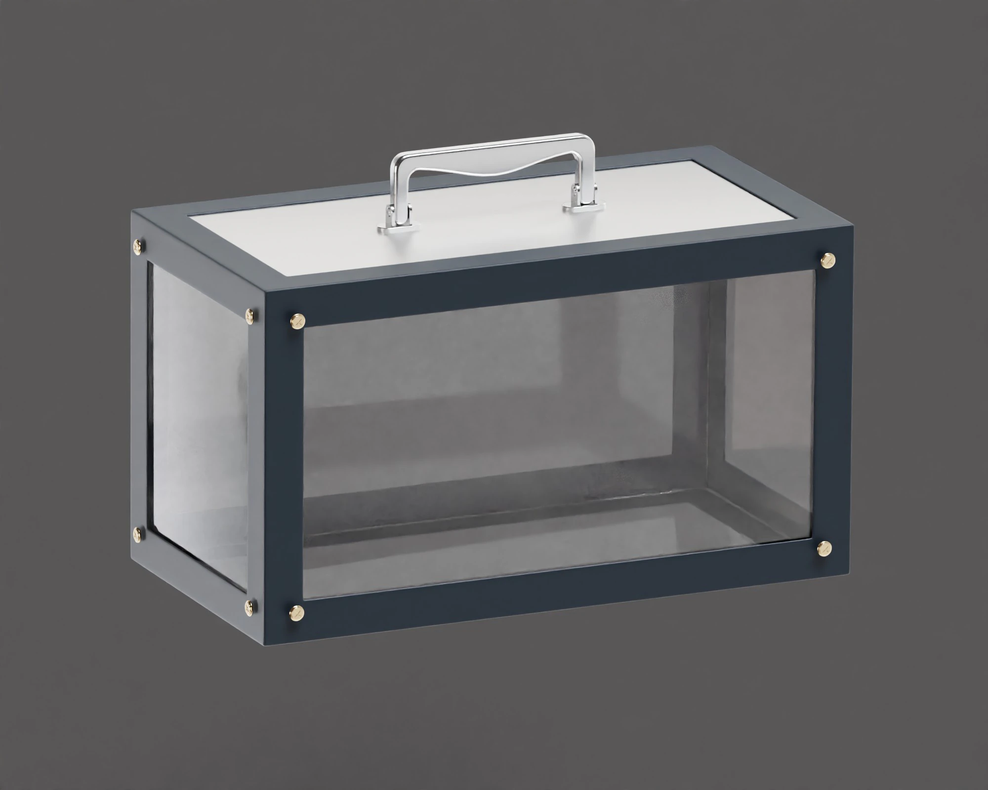 Glass box 3D Model .c4d .max .obj .3ds .fbx .stl .blend 