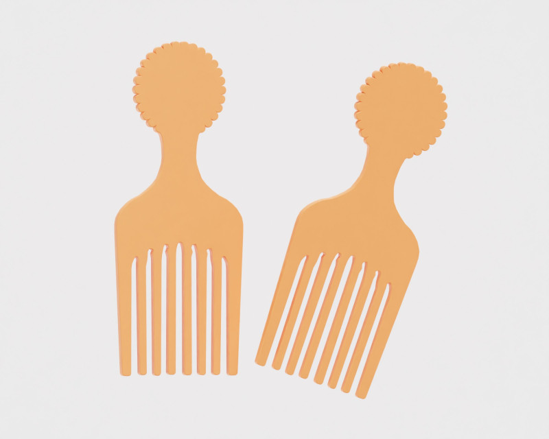 Comb hair 3D Model .c4d .max .obj .3ds .fbx .stl .blend 