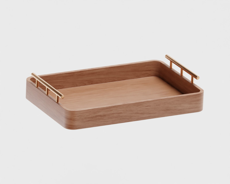 Tray Modèle 3D .c4d .max .obj .3ds .fbx .stl .blend 