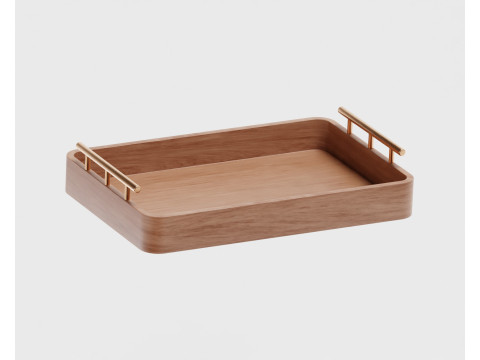 Tray 3D-Modell