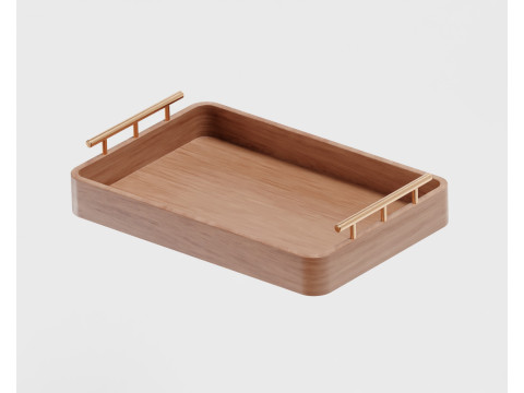 Tray Modèle 3D