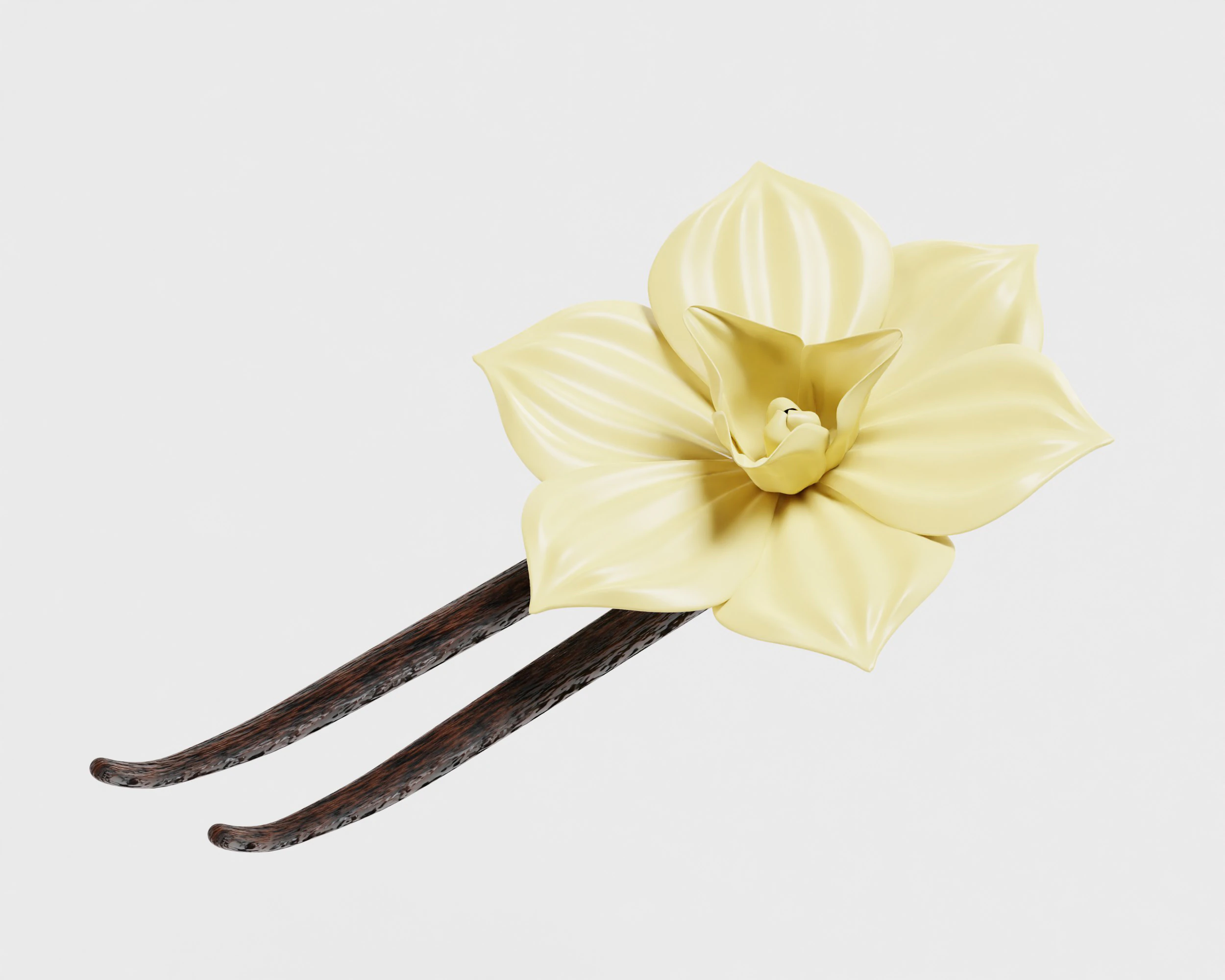Vanilla flower 3D Model .c4d .max .obj .3ds .fbx .stl .blend 